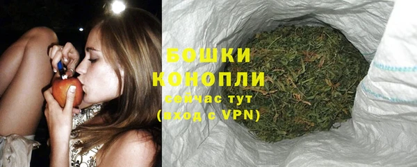 мет Каменка