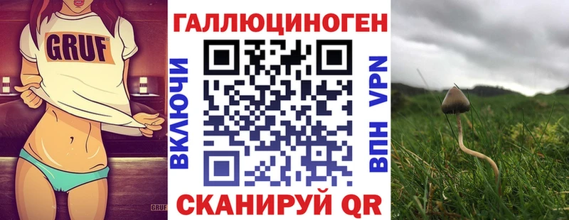 Галлюциногенные грибы прущие грибы  Купить  Тутаев 
